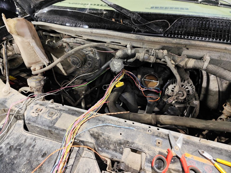 11-89aaf5b997b0a9149056002ede11f9e6.jpg